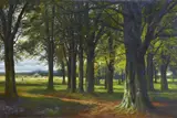 William Beattie-Brown, A Beech Wood