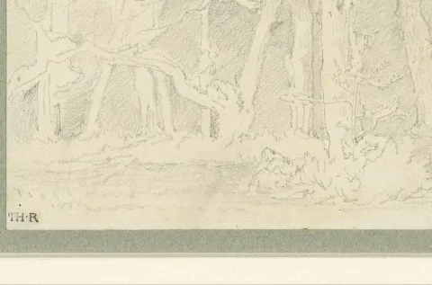 Théodore Rousseau, Schetsje van boomstammen