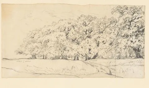 Théodore Rousseau, Schetsje van een bosrand