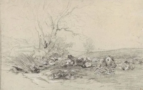 Théodore Rousseau, Omgehakte bomen