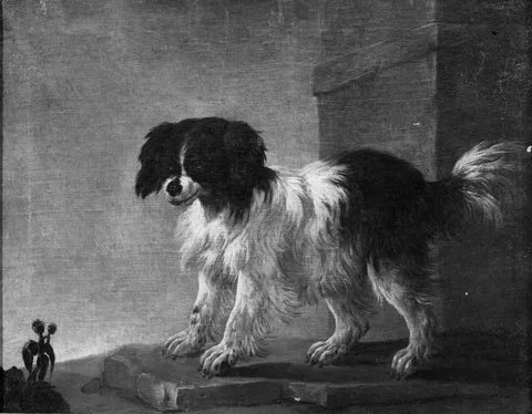Philipp Peter Roos, Bolognese Dog
