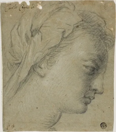 Carlo Cignani, Female Head in Profile to Right