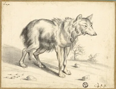 Jan van Os, Wolf