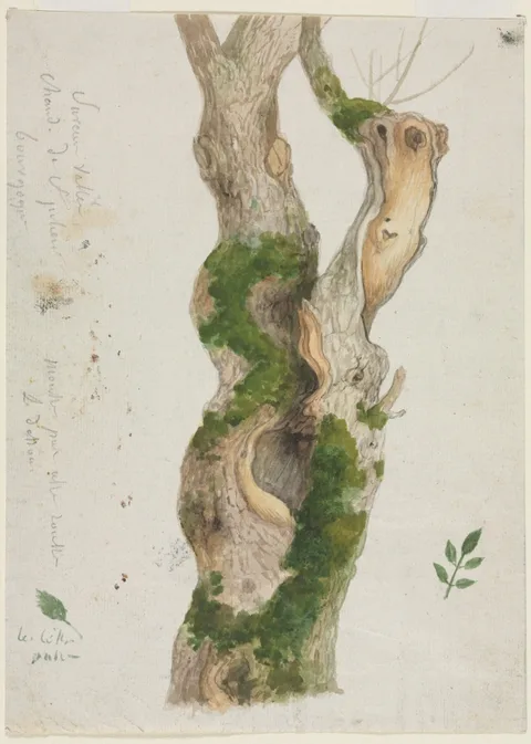 Georges Michel, Study of a Tree Trunk