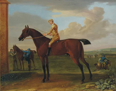 John Wootton, Bay Wanton