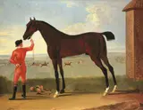 John Wootton, Hobgoblin, a bay racehorse, held by his jockey, on Newmarket Heath