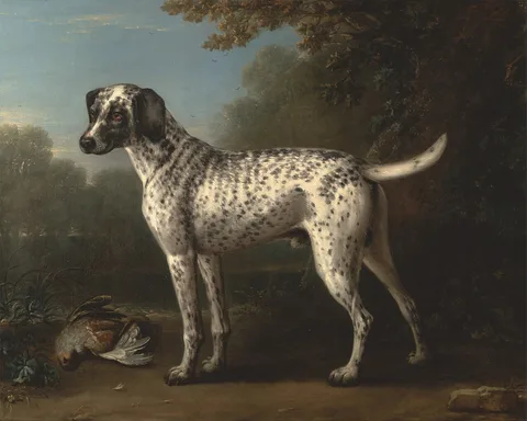 John Wootton, A Grey Spotted Hound