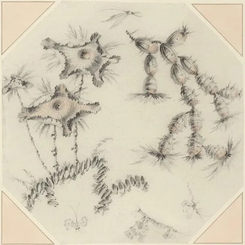 Jean-Baptiste Pillement, Bamboo Flowers and Cactus
