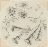 Jean-Baptiste Pillement, Trumpet Flowers and Daisies