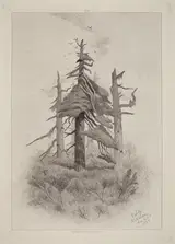 Robert Swain Gifford, Old Trees at Naushon Island [plate 2]