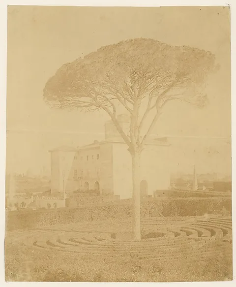 Giacomo Caneva, [Tree in Formal Garden Outside Palazzo]