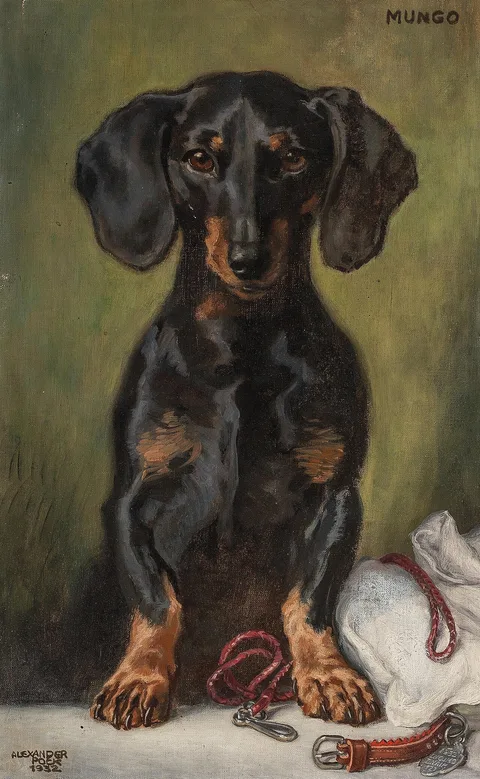 Alexander Pock, Mungo