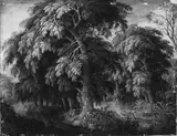 Alexander Keirincx, Wooded Landscape