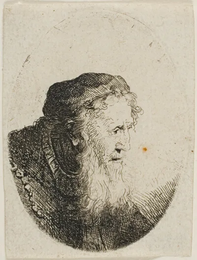 Ferdinand Bol, Bearded Old Man in a Skull Cap