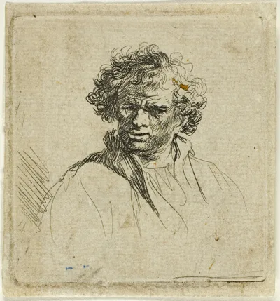 Ferdinand Bol, Curly Headed Man with a Wry Mouth