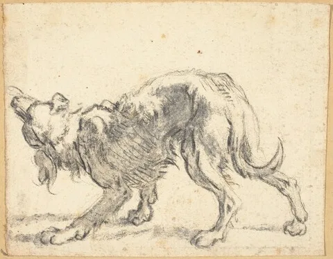 Cornelis Saftleven, A Dog
