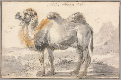 Cornelis Saftleven, A Camel