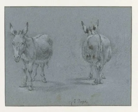 Abraham Begeyn, Two Studies of a Donkey, Seen from the Front and Behind