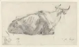 Abraham Begeyn, Recumbent Cow Facing Right, with Fragment of a Cow’s Head