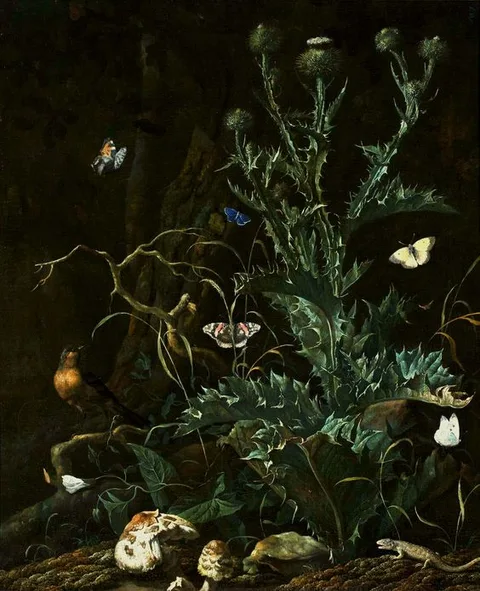 Abraham Begeyn, Still life with thistle.