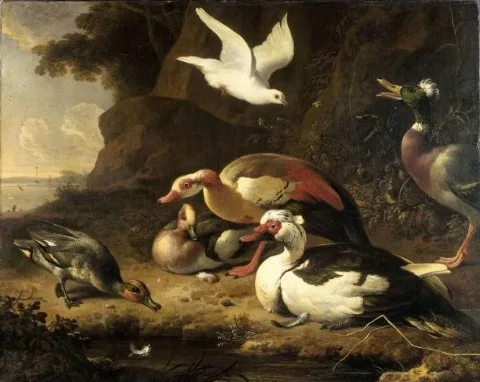 Melchior D' Hondecoeter, Ducks