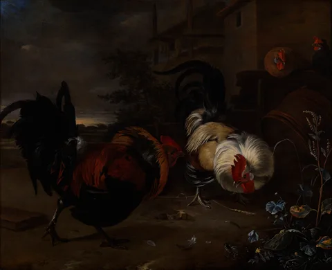 Melchior D' Hondecoeter, Cocks Fighting
