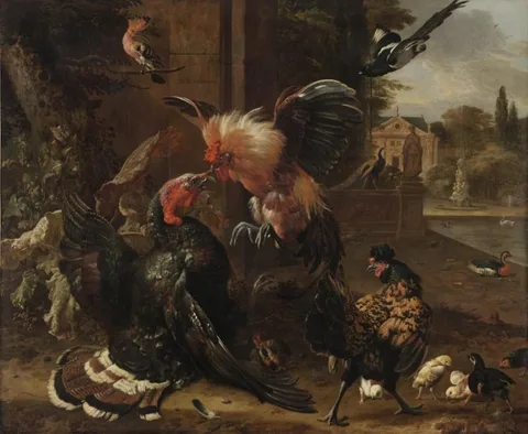Melchior D' Hondecoeter, A Rooster and Turkey Fighting