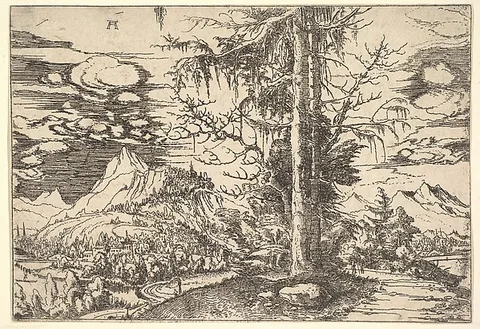 Albrecht Altdorfer, Landscape with a Double Spruce