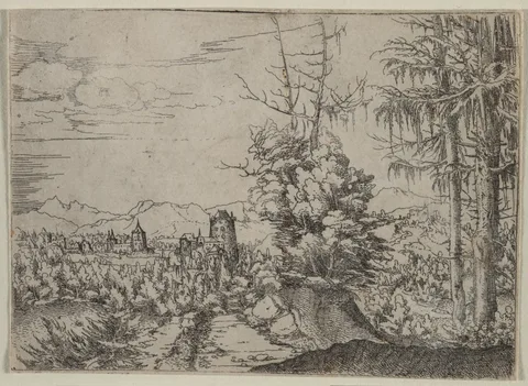 Albrecht Altdorfer, Landscape with Two Pines
