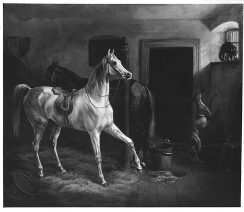 Albrecht Adam, Untitled
