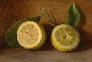 George Henry Hall, Lemons