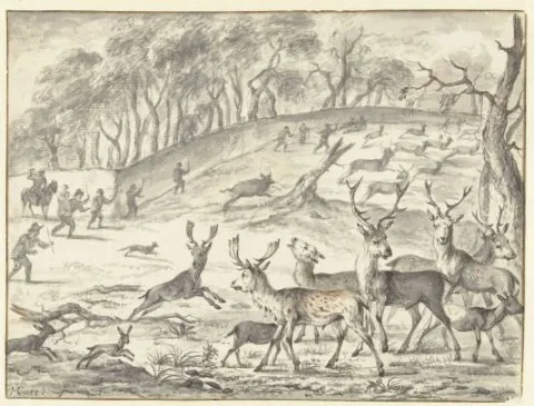 Michiel Carree, Drijfjacht op herten