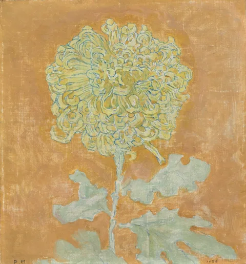 Piet Mondrian, Chrysanthemum