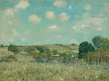 Alfred Sisley, Meadow