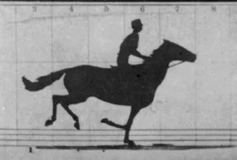 Eadweard Muybridge, Sallie Gardner at a Gallop