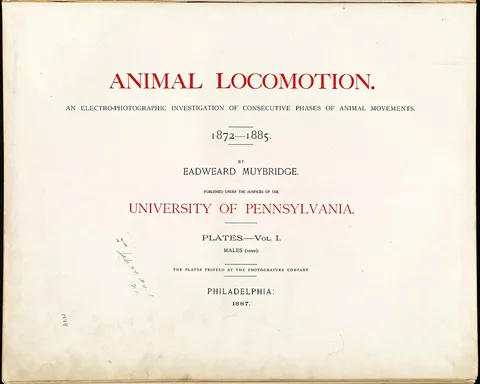 Eadweard Muybridge, Animal Locomotion