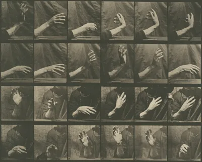 Eadweard Muybridge, Animal Locomotion, Plate 535
