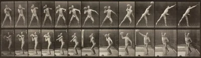Eadweard Muybridge, Animal Locomotion, Plate 319