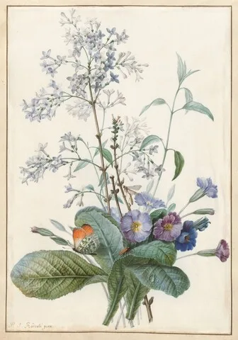 Pierre-Joseph Redouté, A Bouquet of Flowers with Insects
