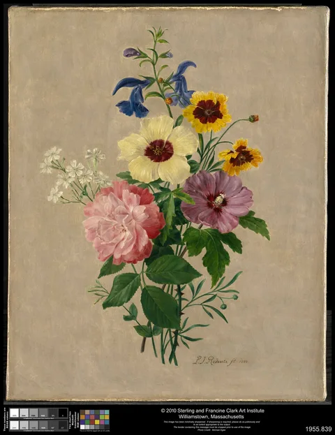 Pierre-Joseph Redouté, Flowers