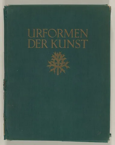 Karl Blosfeldt, Urformen der Kunst