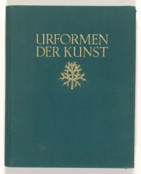Karl Blosfeldt, Urformen der Kunst : photographische Pflanzenbilder