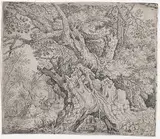 Roelandt Savery, Gnarled Trees and Twisted Roots Before a Swamp