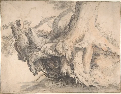 Roelandt Savery, Study of a Tree