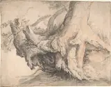 Roelandt Savery, Study of a Tree