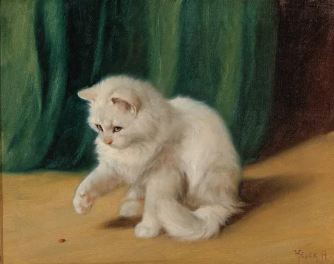 Arthur Heyer, Cat with Ladybird