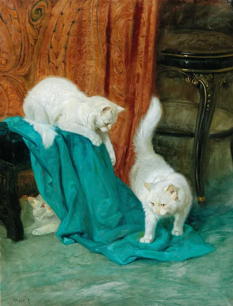 Arthur Heyer, Cats Playing