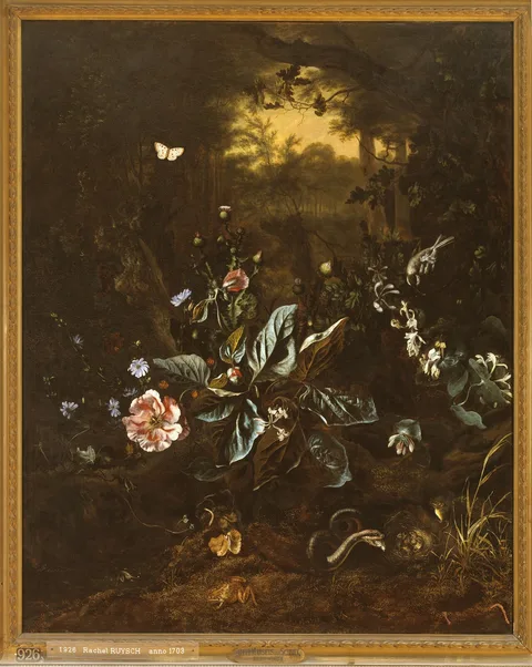 Rachel Ruysch, Still life of flowers and small animals at the edge of a forest