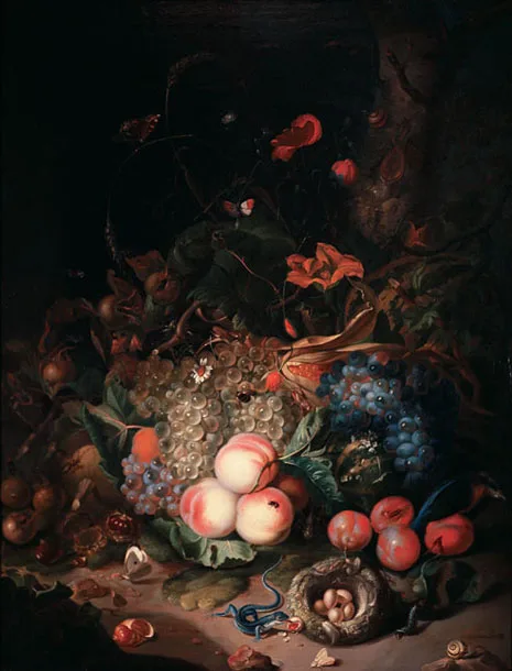 Rachel Ruysch, Still Life