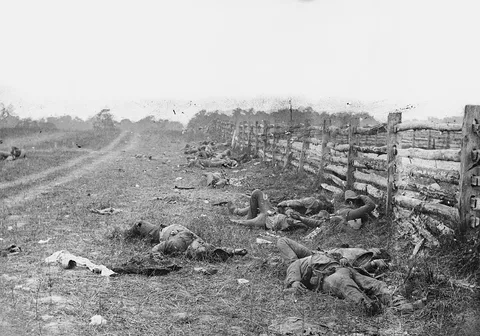 Alexander Gardner, Bodies on the battlefield at Antietam